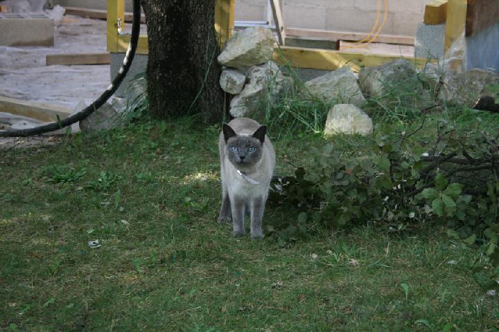 2013-08 002.JPG
